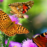 快速发货的网站压力测试