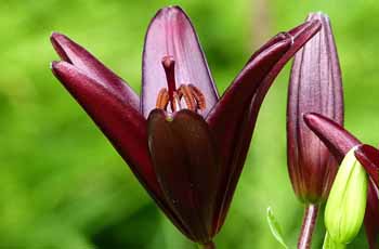 免费cc攻击测试