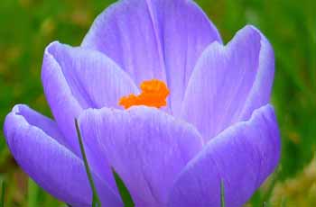 ddos在线攻击测试网站