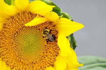 网络ddos监测分析工具