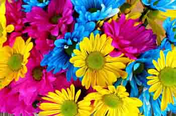 自动充值代理的doss网站攻击